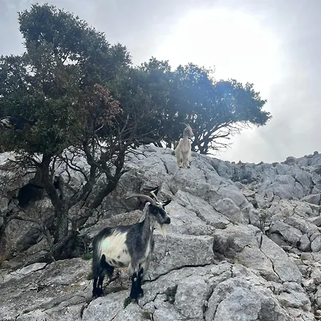公寓 Petit Paradis A Avec Vue Wifi Et Clim 滨海萨纳里
